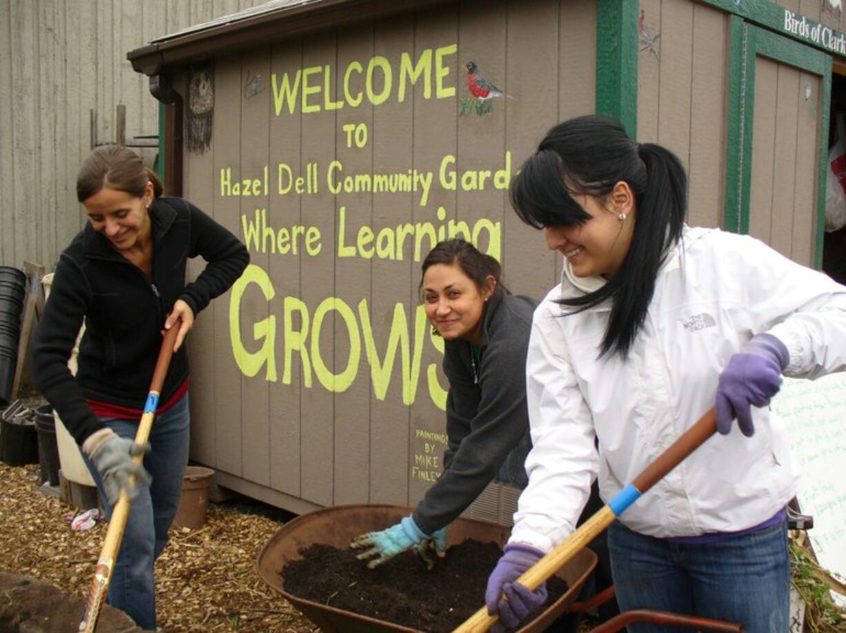 Northeast Hazel Dell: Jody Shulnak, left, Clark College service learning and volunteer program manager, helps Clark College Running Start students Zeina Hourani, center, and Melissa Barnes at a Hazel Dell School and Community Garden work party.