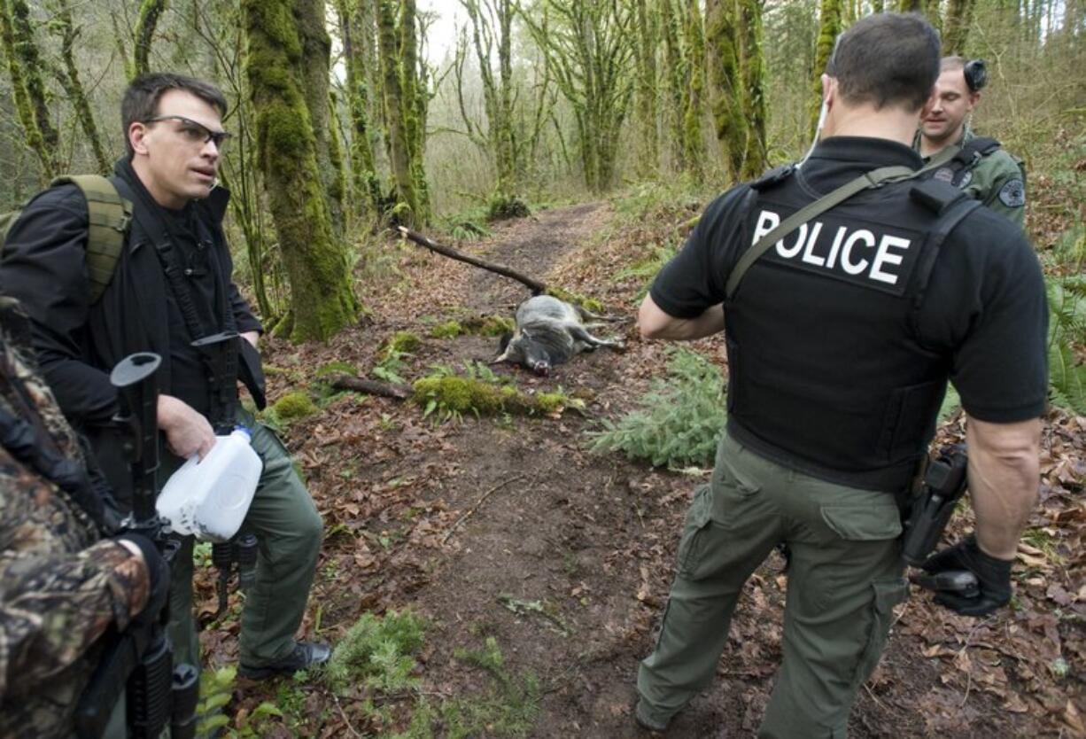 SWAT Sgt. Tim Bieber, left, and other officers pause Tuesday afternoon after shooting and killing a young bull that was running loose around Whipple Creek Regional Park, near Ridgefield.