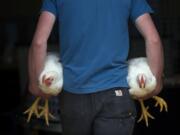 Matthew Berg, 15, of Yacolt, carries off two of his Market Fryer Chickens after winning 4-H Champion Pin of Three and Reserve Champion Pin of Three at the Clark County Fair in 2012.