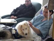 Lothair, a deaf therapy dog that owner Melanie Paul takes to Langley AFB weekly, is petted by patient Rebecca Bennett-Jordan as Steven Jordan watches in Hampton, Va.