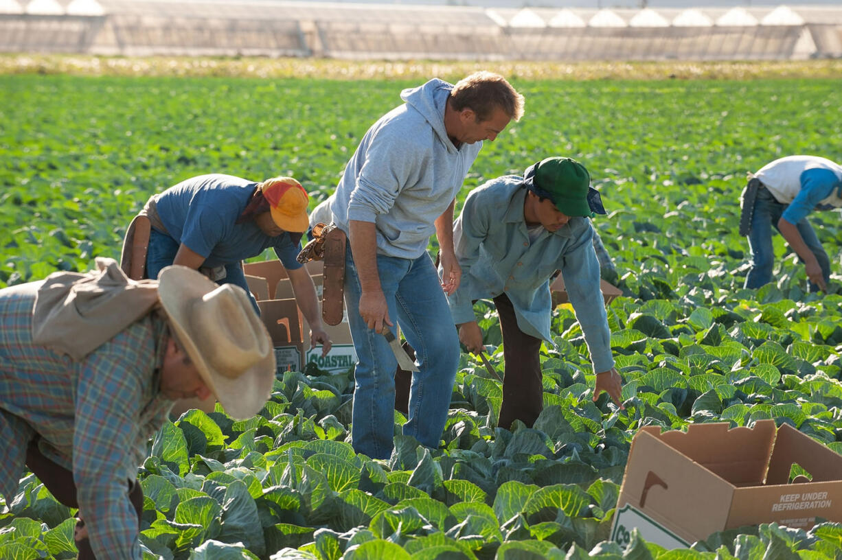 Coach Jim White (Kevin Costner, center) and David Diaz works in the ferlds in &quot;McFarland, USA.&quot;