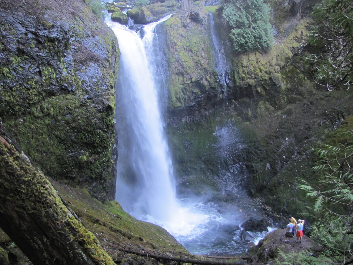 Falls Creek Falls is, arguably, the most scenic waterfall in the Gifford Pinchot National Forest. It can be reached by hiking or riding 2.5 miles on closed road No. 3062, then 1.7 miles on Falls Creek trail No.