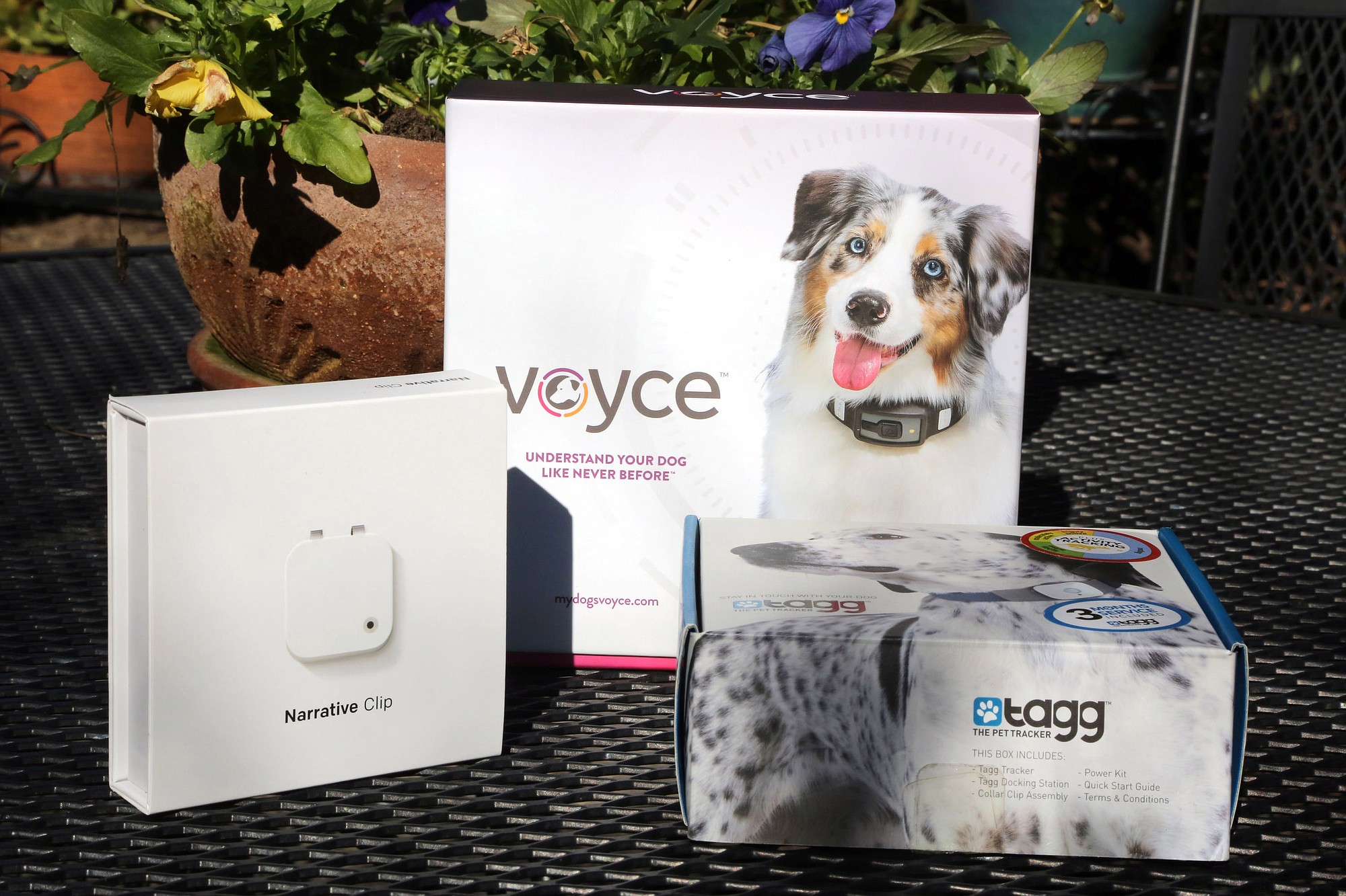 Wearable deals dog camera