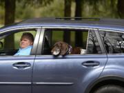 Tim Ward and his German shorthaired pointer, Blue, both survived the Oso mudslide. Tim was lifted from the site by helicopter after being found with a crushed pelvis on Day 1.