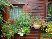 Robb Rosser
Hanging flower baskets add a splash of color to the house and garden in mid-spring.