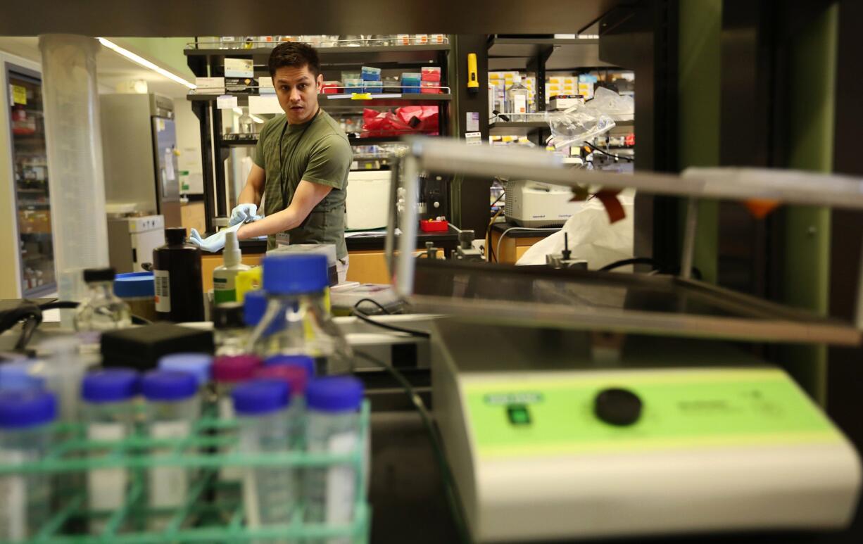 A school dropout at 14, David Yama volunteers in April at a University of Washington medicine lab.