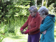 Lilla Larsen (left) talks about the plants and flowers in her yard with Alma Ladd (right), chairwoman of the Two Rivers Heritage Museum's annual plant fairs. Larsen, 70, has provided donations from her garden to support the fundraiser for several years. The Two Rivers Heritage Museum is hosting a plant fair from 11 a.m. to 3 p.m. Sunday.