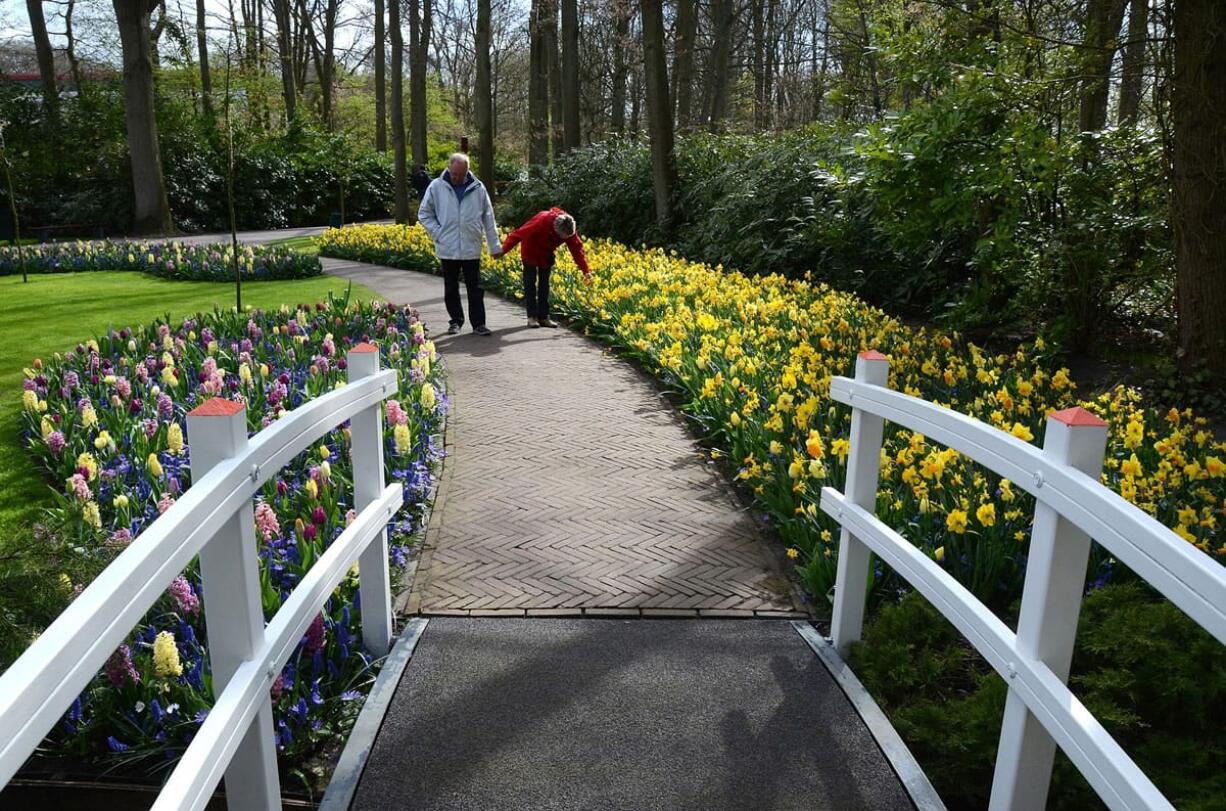 A French couple heads toward a bridge, flanked by tulips at Keukenhof in Holland.