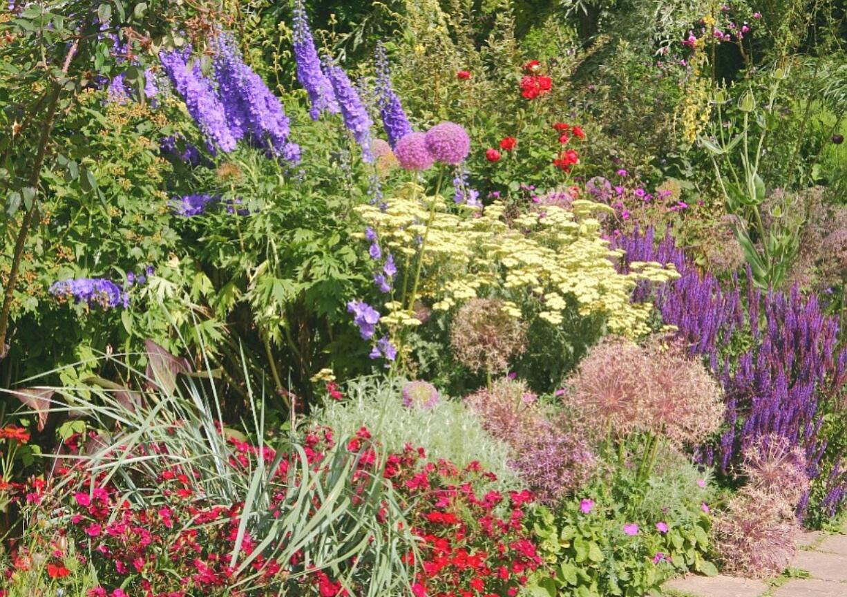 One logical, straightforward daily garden chore in the height of spring and summer is deadheading perennials.