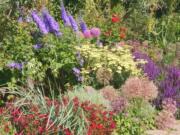 One logical, straightforward daily garden chore in the height of spring and summer is deadheading perennials.