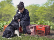 Alda Owen, 63, who is legally blind, gets a kiss May 13 from her dog and companion, Sweet Baby Jo, a 3-year-old border collie who is her constant companion, on her farm near Maysville, Mo., in DeKalb County.