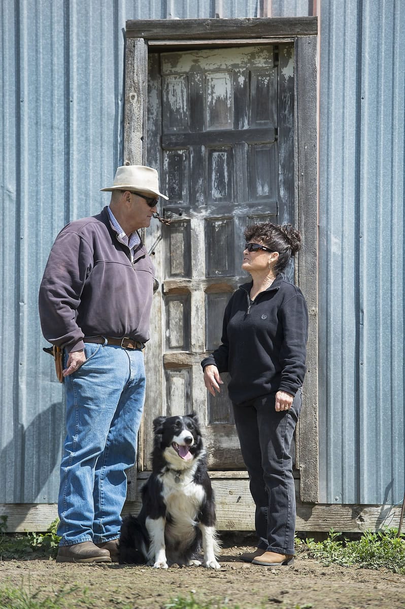 &quot;When I got Sweet Baby Jo, it was like, oh my gosh, I can do this. I can go out and help Rick again. I can get the calves from lot to lot.