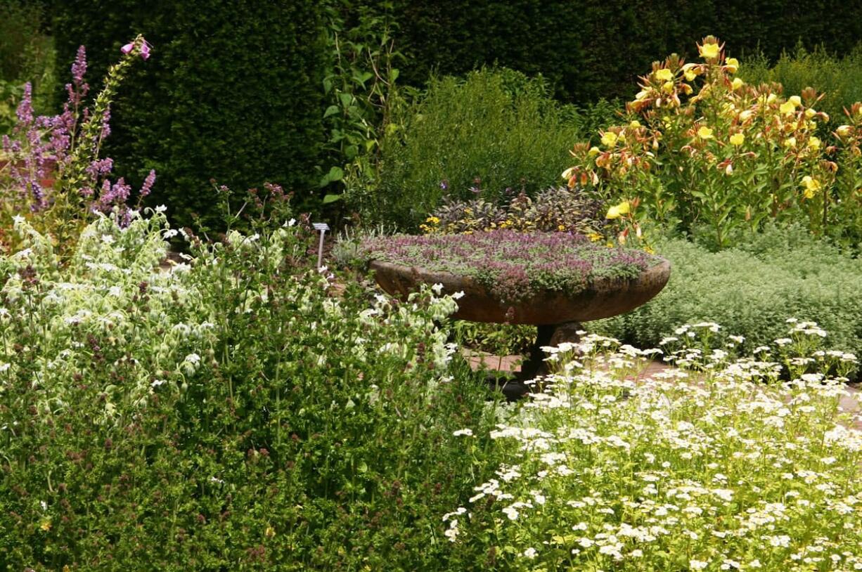 Robb Rosser
Enliven any area of the garden with a decorative planter filled with herbs, strawberries or with your favorite colored summer annuals.