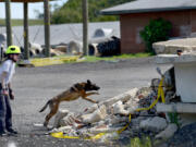 Charlotte Grove sends her dog, Etta, on a search mission in the rubble pile.