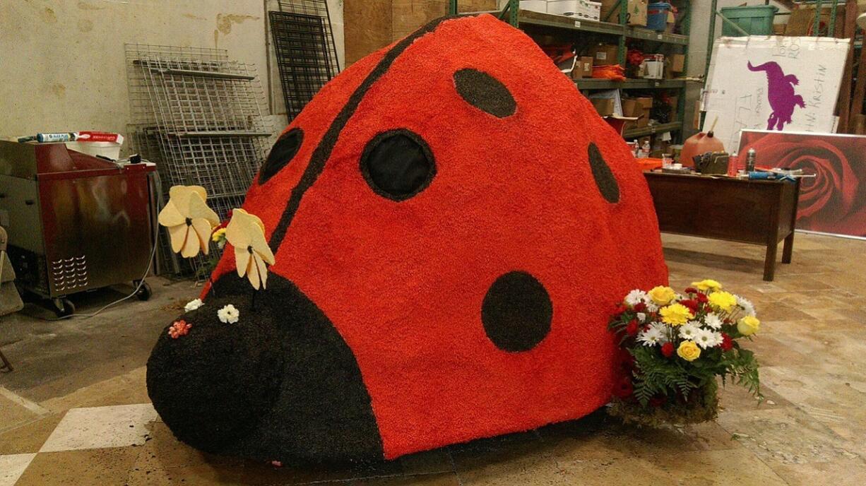 Washougal Mayor Sean Guard worked with community members and Rose Festival organizers to put together this ladybug mini-float for Saturday's Portland Rose Festival Spirit Mountain Casino Grand Floral Parade. Washougal's will be one of four mini-floats in the parade this year.