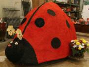 Washougal Mayor Sean Guard worked with community members and Rose Festival organizers to put together this ladybug mini-float for Saturday's Portland Rose Festival Spirit Mountain Casino Grand Floral Parade. Washougal's will be one of four mini-floats in the parade this year.