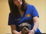 Chiropractor Julie Kaufman works with Turbo, who suffered from paralysis, on May 5 at Holistic Animal Specialists in Marshall, Wis.