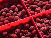 Fresh red raspberries have a sweet-tart flavor and are delicious eaten alone or combined with other berries.