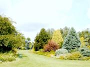 ROBB ROSSER
Plant-filled borders are perfectly framed by a lush, well-mown lawn.