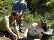 Cornell University seismologist Geoff Abers, from left, Cascade Volcano Observatory seismologist Seth Moran and University of Washington graduate student Kelley Hall check out the fit of a trash can seismometer vault on Mount St.