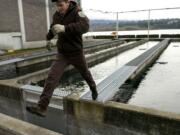 Fish Culturist Chris Hankin steps off a platform near a raceway containing squirming fingerlings at the Spring Creek National Fish Hatchery in March 2008.