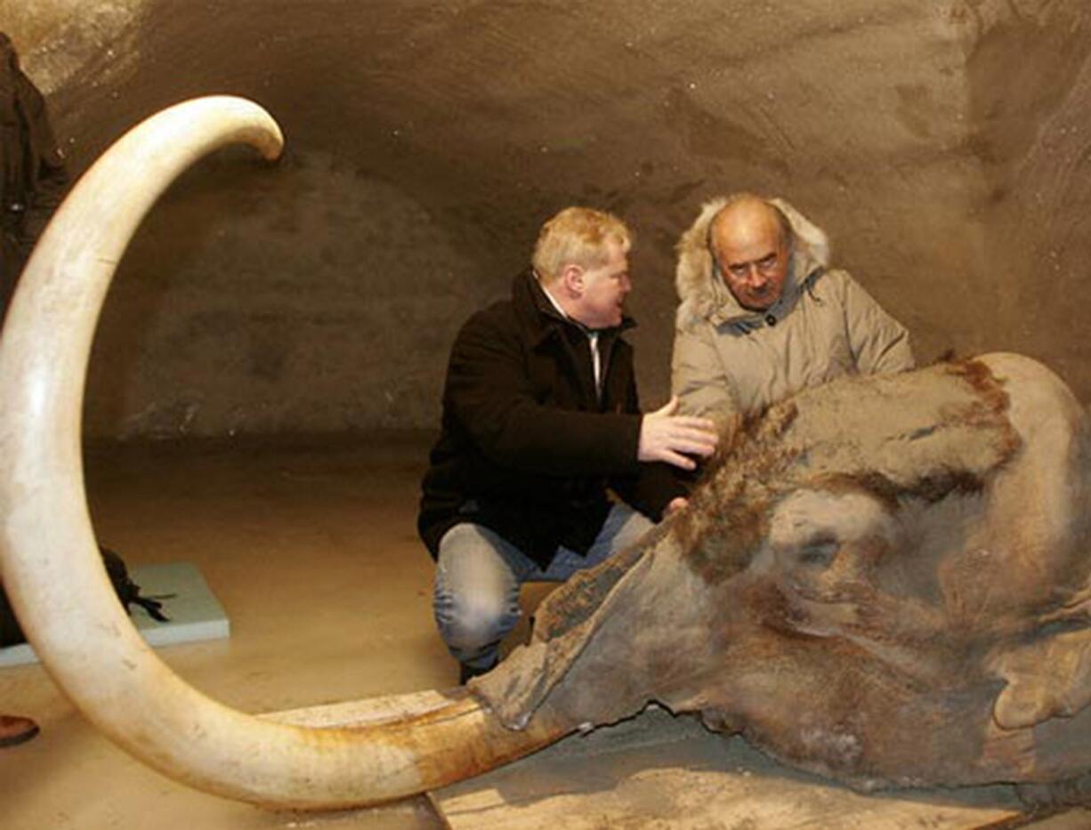 Technological advances are making it easier for scientists to analyze DNA collected from extinct species like the woolly mammoth.