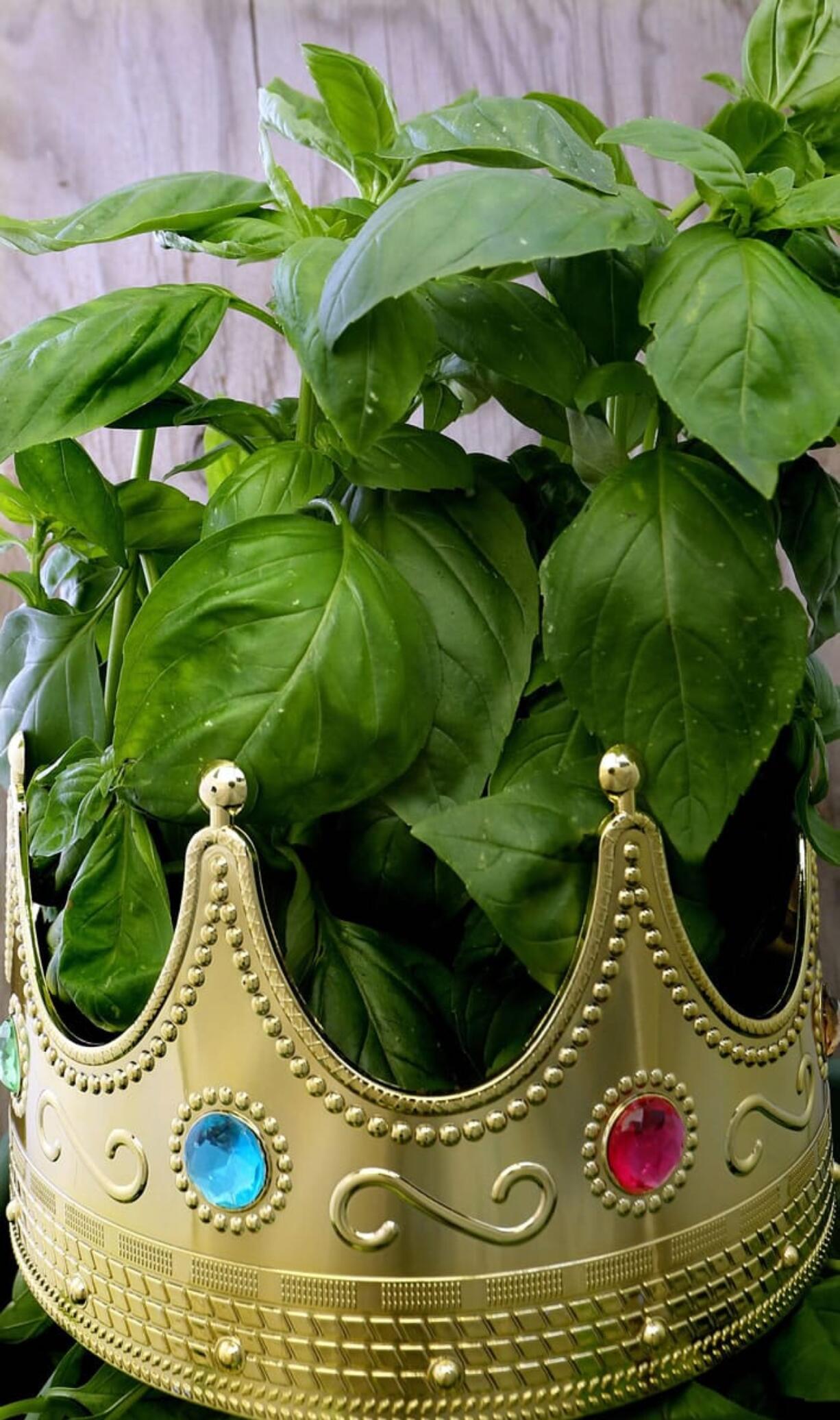 Basil is the king of herbs for a reason -- it goes so well with so many things.