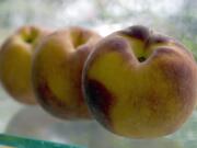 Peaches are included in a recall of stone fruits.