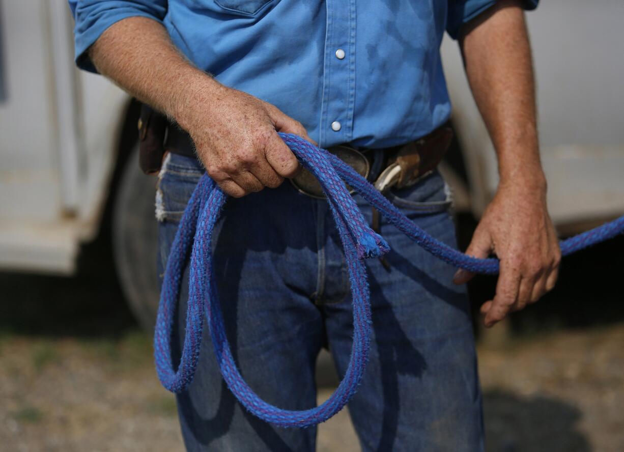 Range Rider Bill Johnson prepares his horse before he sets out to drive cattle up Lower Dickey Creek in the Teanaway Valley in Cle Elum.