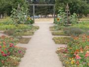 Robb Rosser
Continue deadheading annual zinnias to prolong the summer flower show.