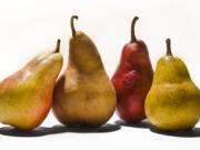 Bill Hogan 
 Chicago Tribune 
 The pears are, from left, Forelle, Bosc, red and Bartlett. 
 ---