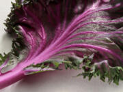 Ornamental kale comes in a variety of colors, and it used in landscaping as well as cooking.