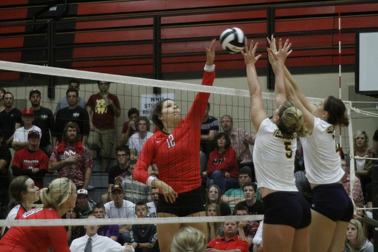 Taylor Van Valey, Northwest Nazarene University volleyball.