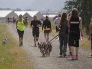 Jody and Jason Beach of Washougal -- and their 6-year-old Italian greyhound, Enzo -- run toward the finish of the Hike on the Dike 10K in Washougal as walkers start out on the course.