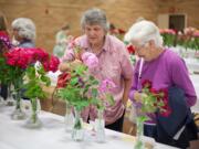 Two guests look at roses at the 62nd annual Rose Show, held at the Vancouver First Church of God.