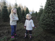 Helaena, left, and her sister Frances Armerding search for a Christmas tree at Thorntons' Treeland.