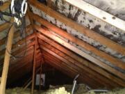 White and black mold covers the attic of Craig and Shelly Johnson's Vancouver home.