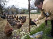 Joyce Haines of Northwest Organic Farm feeds her chickens a mixture of bread, flax oil and bananas.