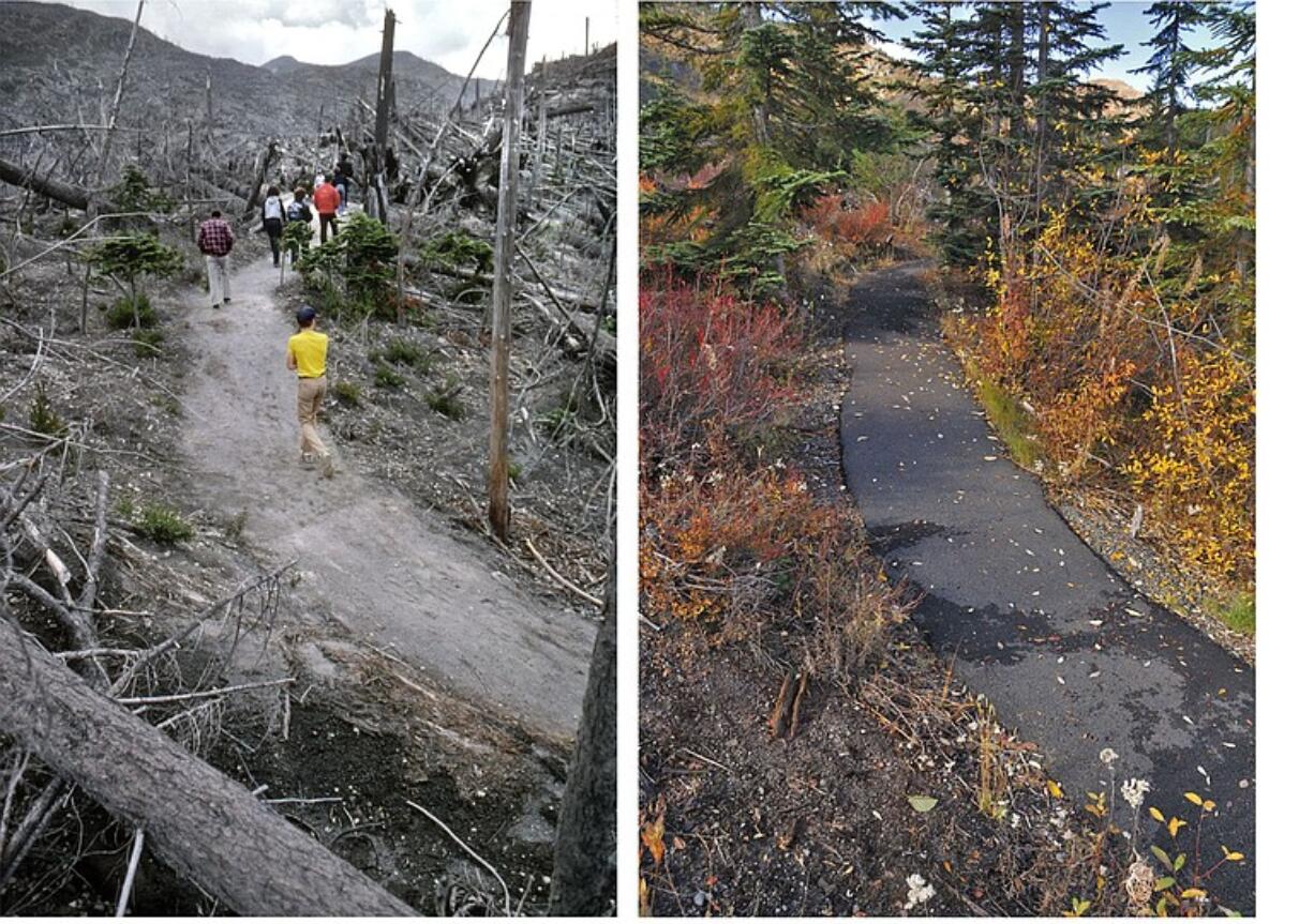 &quot;Trail to Meta Lake,&quot; photographs by Steve Terrill.