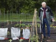 Bill McFee, a member of the Fircrest Neighborhood Association, owns a plot at Leroy Haagen Community Park in east Vancouver, which fell victim to vandalism last month.