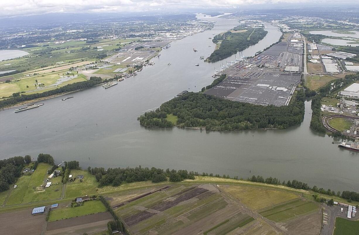 The Columbia River flows past the confluence of the Willamette River in this aerial view on Friday. &quot;One of the great natural jewels of the Pacific Northwest is making a comeback, but we have a long way to go,&quot; Oregon Gov.
