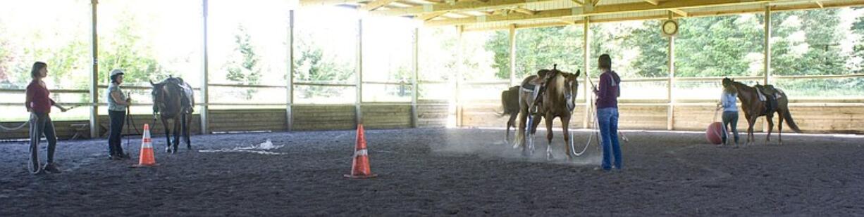 Six horses and six women visited the Lucky K Stables in Battle Ground in June for a monthly horse-training class that uses a combination of psychology and communication instead of intimidation.