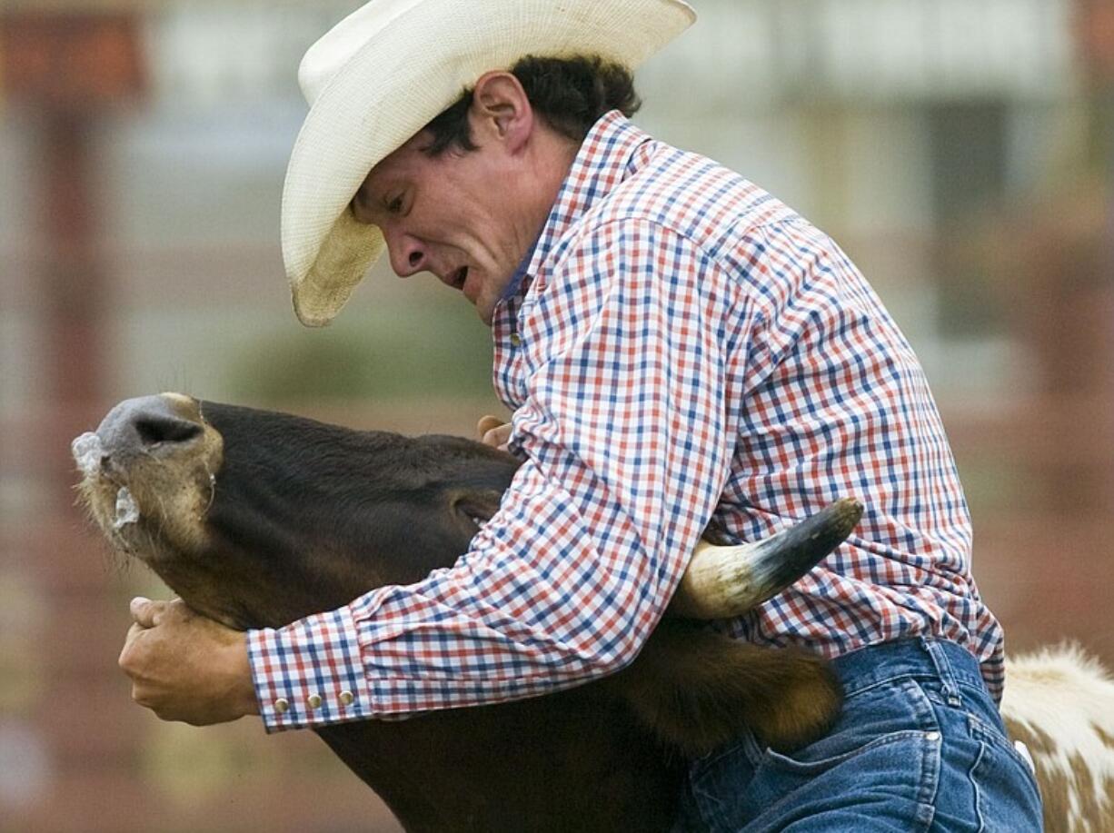 Bull riding and calf roping will be among the rodeo events at the fair.