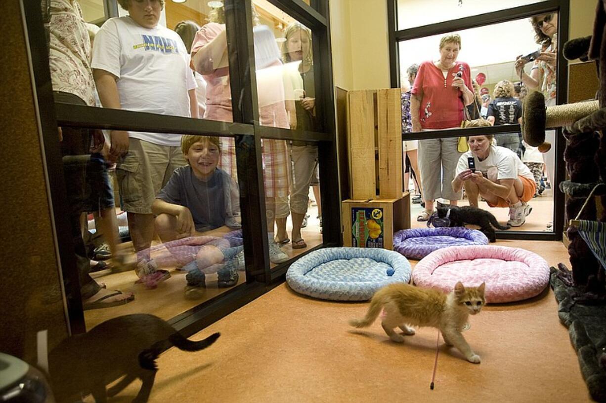 The Humane Society for Southwest Washington will follow its grand opening in east Vancouver a year ago, pictured here, with an anniversary celebration Saturday.