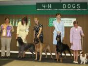 Ridgefield: Members of the Clark County 4-H dog program took home all three Grand Champion Showman awards Sept. 26 at the Washington State 4-H Fair in Puyallup.