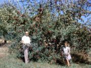 Kathy Condon, her dad and some of their Wisconsin apples.