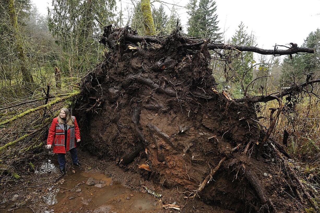 Renee Williams walks around a 100-foot Douglas fir tree Friday at her home in Brush Prairie.