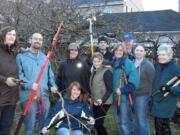 Volunteers with Tending the Urban Orchard pruned the apple tree of Kate and James Ketcham.