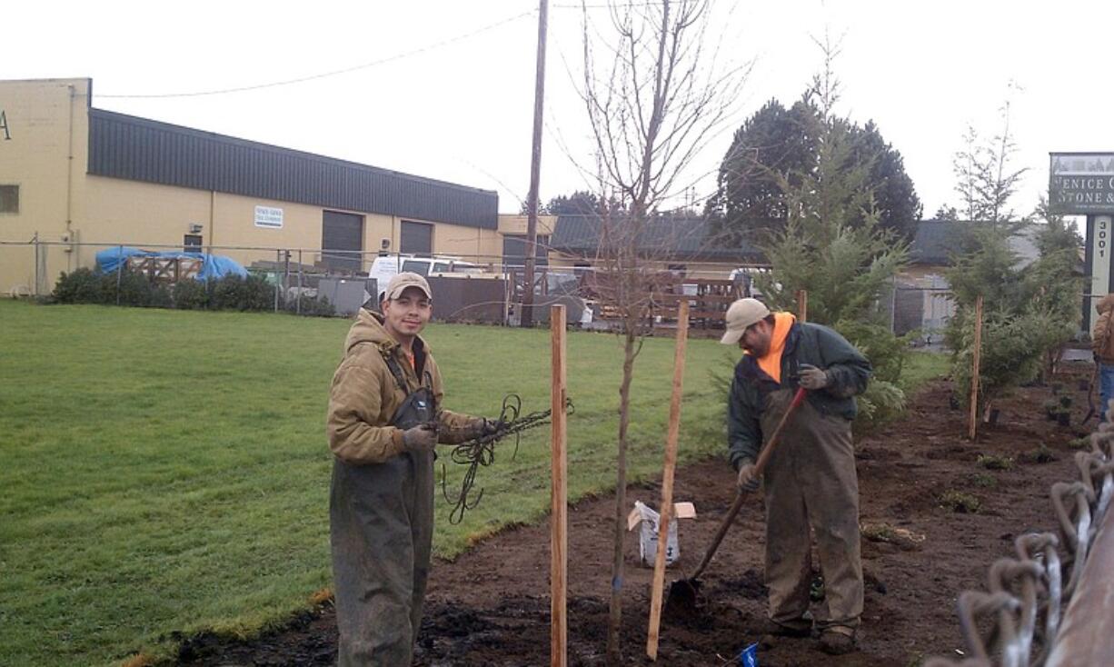 More than 100 shrubs and 27 trees were planted at Warrior Field along Fourth Plain Boulevard.