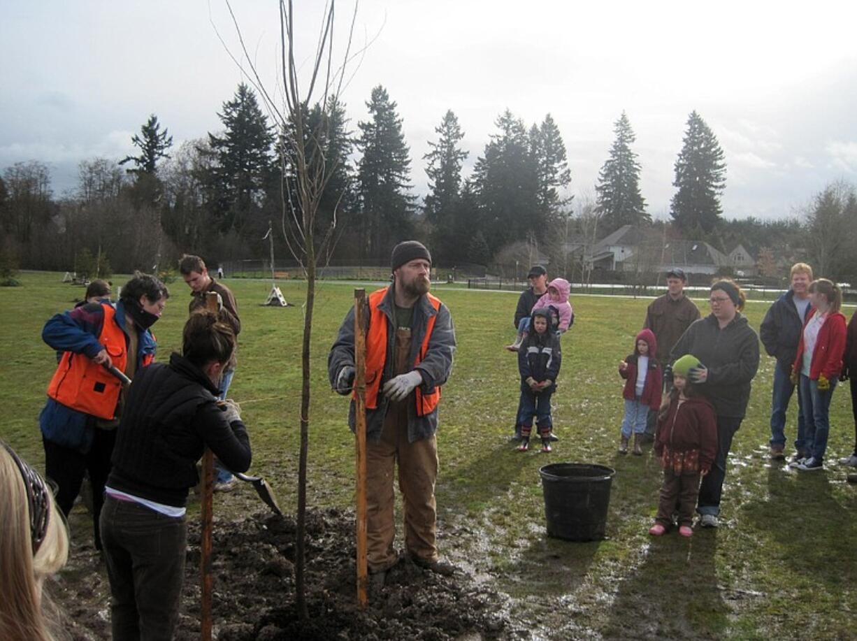 More than 40 volunteers planted 25 trees March 26 at Eisenhower School Park in Hazel Dell.